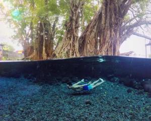 Umbul Manten Wisata Desa Murah Di Klaten Ini Bikin Anda Geregetan Pingin Nyebur