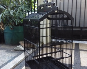 Sangkar Burung Knock Down Lare Angon Produk Desa Yang Patut Anda Coba