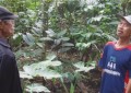 Bambang Wijono, Sosok Petani Lada Teladan dan Sukses Dari Desa Kuncen